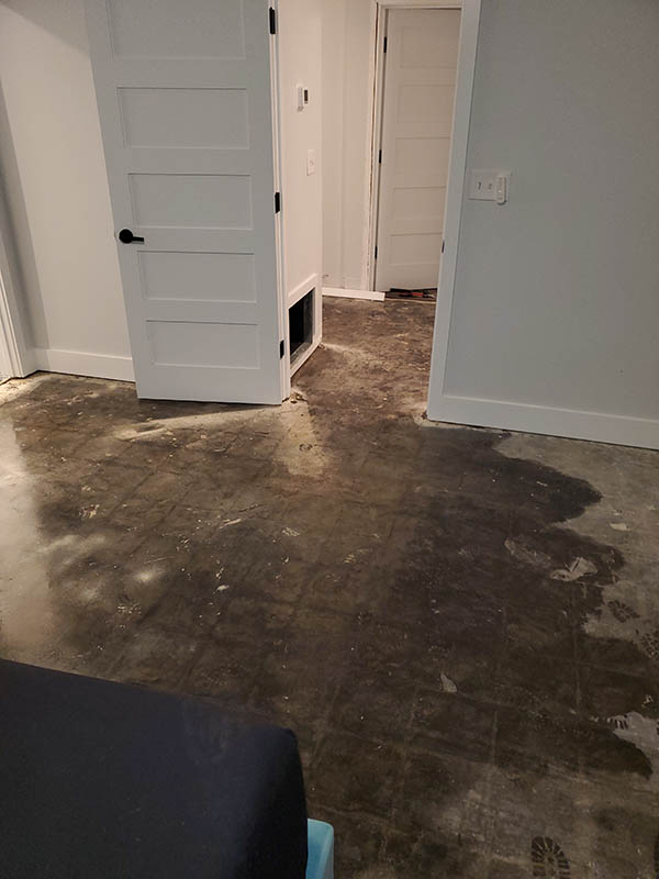 Hidden Water Throughout the House