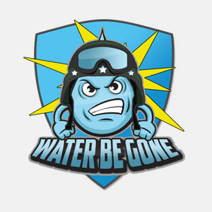 Water Damage Restoration Service, Emergency Water Extraction, Mold Remediation 