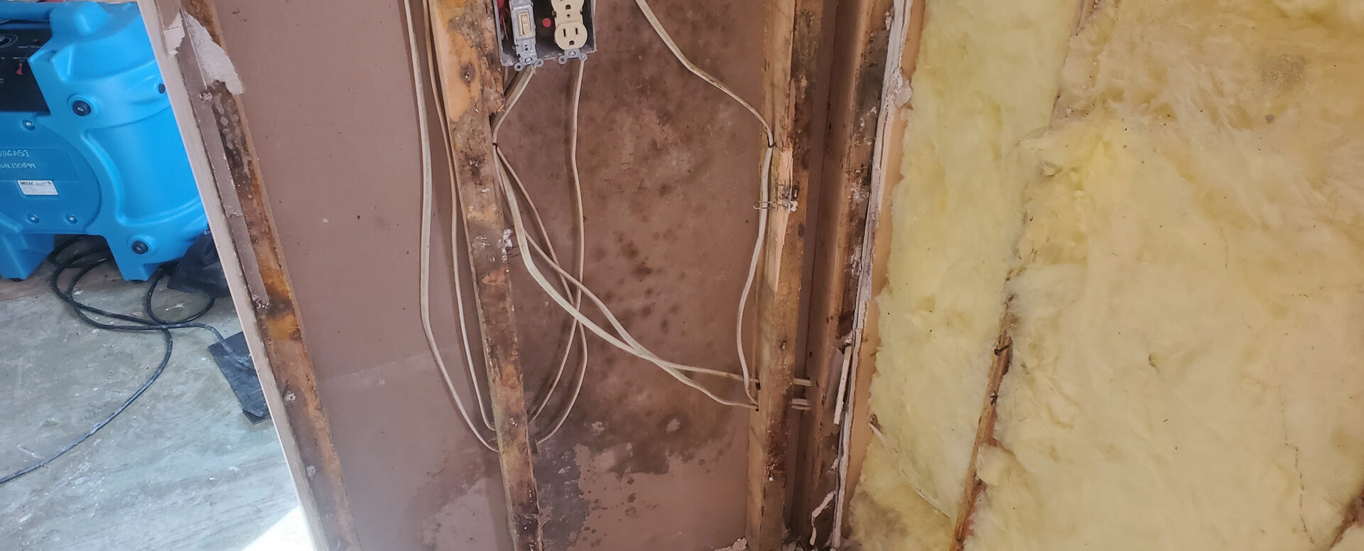 Orlando Mold Remediation